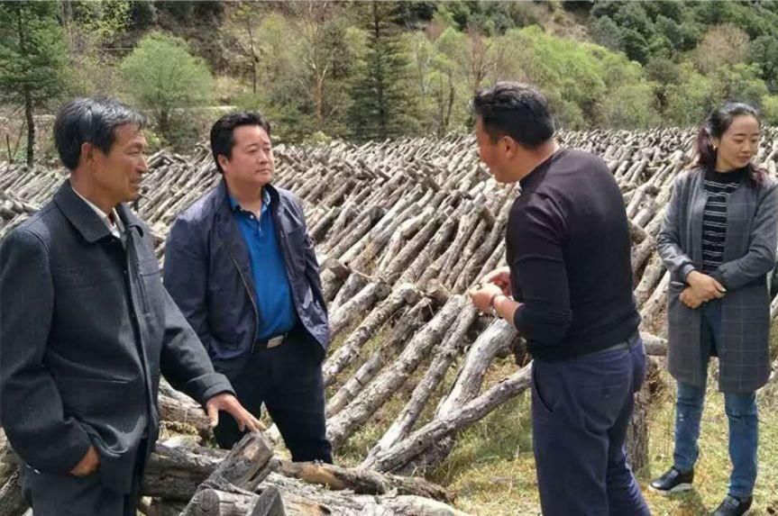 脱贫攻坚,电商专项行动开辟精准扶贫新路子