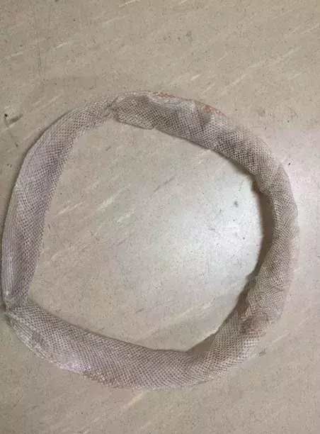 男子来到一处蟒蛇馆参观,被里面巨蟒蜕皮深深