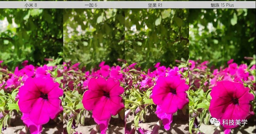 小米8\/一加6\/坚果R1\/魅族15Plus 国产旗舰对比