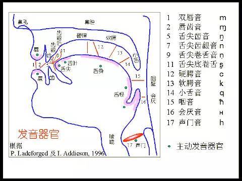 发音训练的口部练习方法
