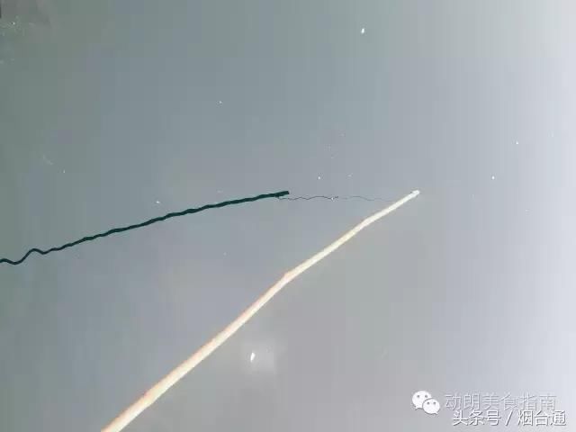 探班烟台东口合不拢嘴渔家乐!完整版!