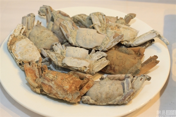 188万!天下第一宴引围观:夸张的128道石头菜