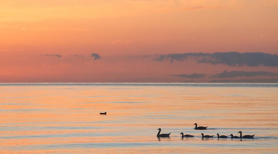 鸟岛,沙岛,年保玉则相继关闭,青海这些绝色的美