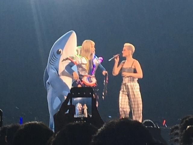 凯蒂佩芮小巨蛋披黄金战袍开唱,尬舞鲨鱼吃太