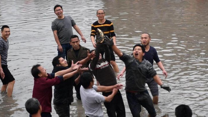 福建龙岩:村民抓鱼闹春田 福建龙岩:村民抓鱼闹春田