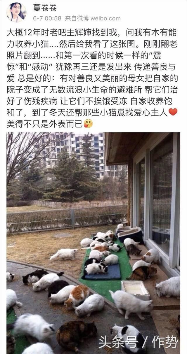一部《妖猫传》,炸出了一大波娱乐圈的猫奴和