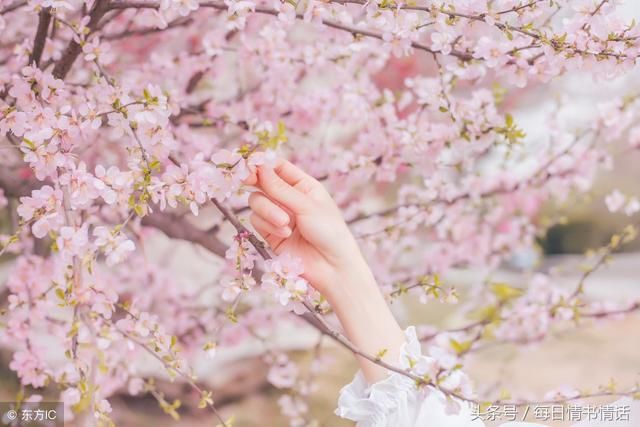 情书情话,古风言爱情,这些一两句的小短句,你中