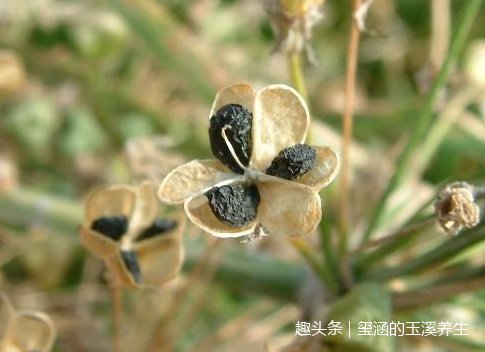 探寻最好的摄生方法