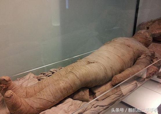 人死之后,身体里的血液到底去哪了?看完有点意外