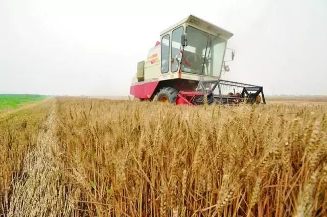 沧州农村宅基地、承包地确权发证时间定了!农