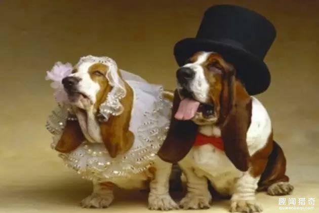 等待宣誓的一对