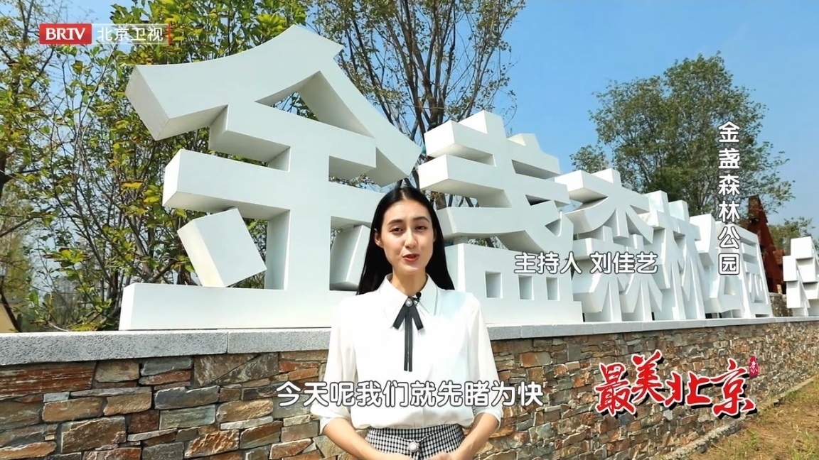 探寻最美北京——金盏森林公园 探寻最美北京——金盏森林公园