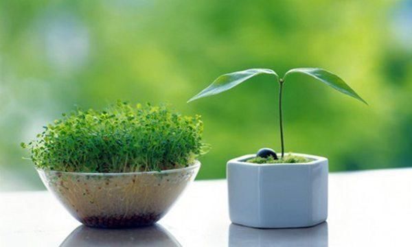 国内哪些大学不用高考就能上?知道这些方法,不