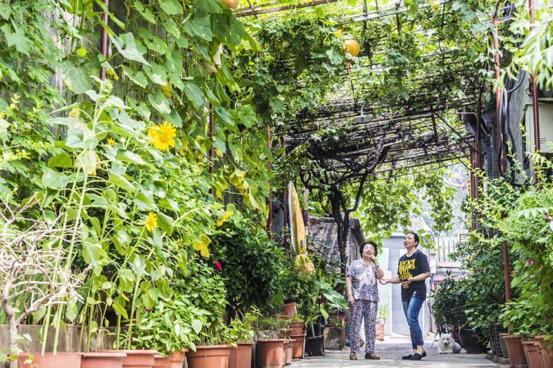 东城区完成19万平米拆违 封堵故宫周边开墙打洞 东城区完成19万平米拆违 封堵故宫周边开墙打洞