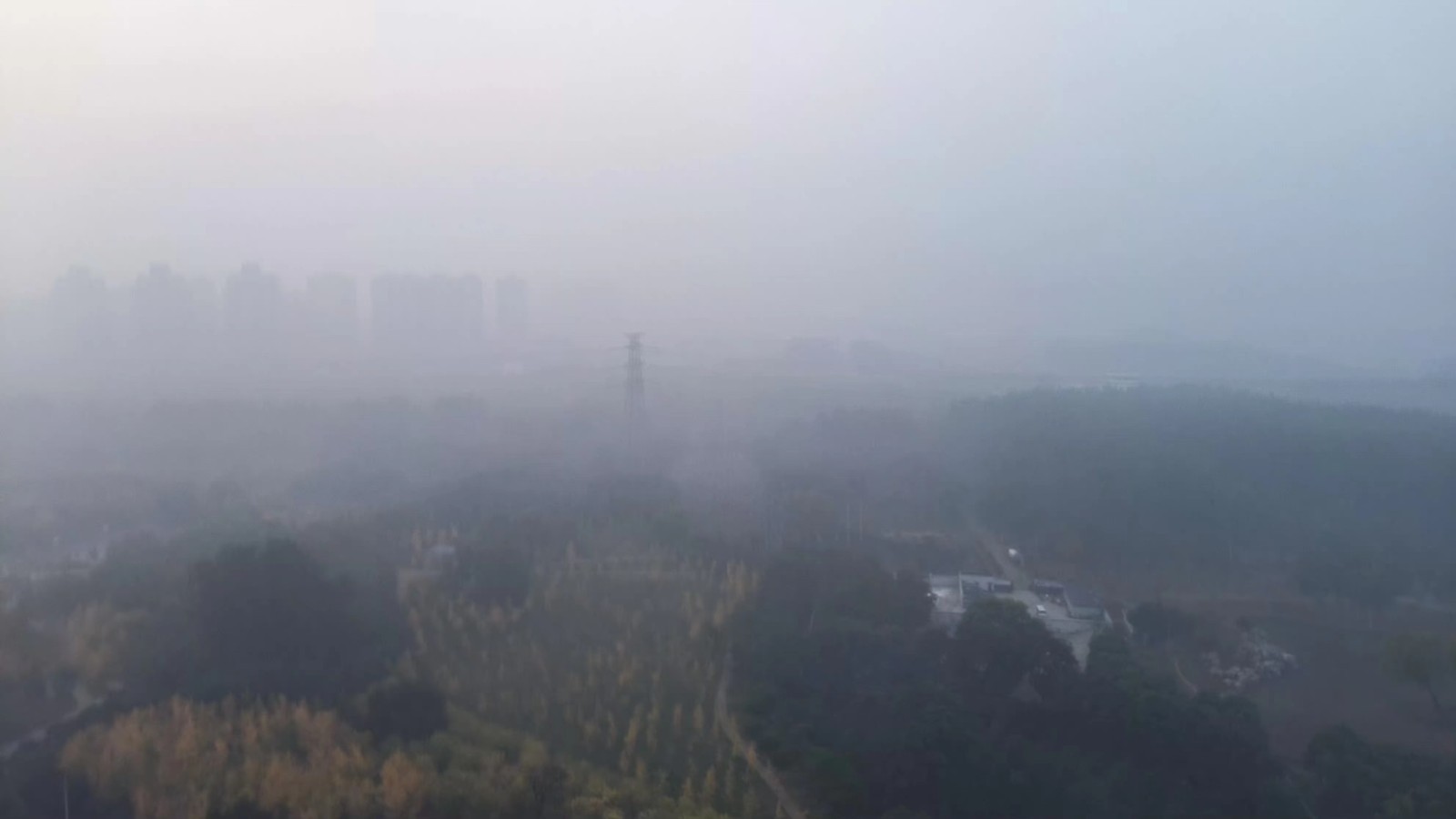今晨大雾 部分城区能见度不足500米！直到夜间，具体天气情况↓_北京时间