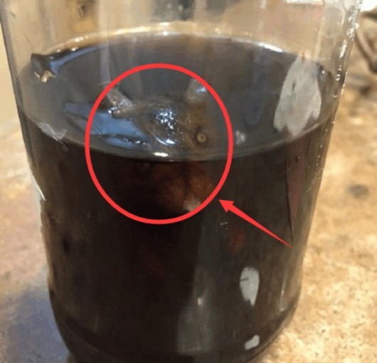 爷爷给孙子买可乐解渴 喝一半发现瓶中瞪着眼睛