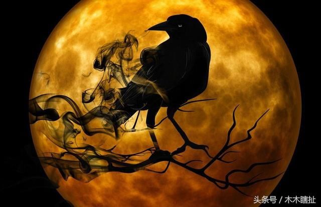 心理学:如何从口头禅看透一个人的内心?