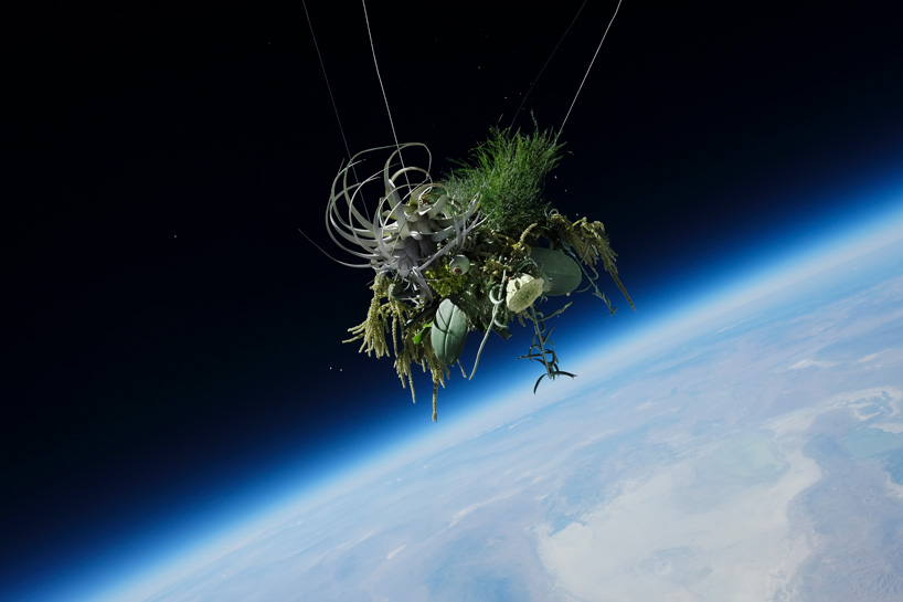 azuma makoto的植物太空之旅第四期