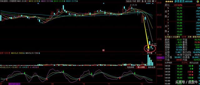 暴跌'神药'股:莎普爱思603168深度分析,增持澄