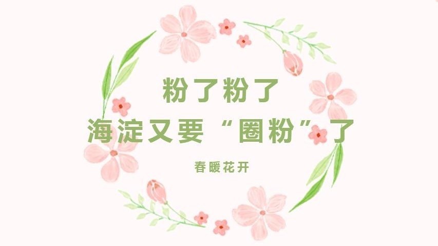粉了粉了！海淀又要“圈粉”了❀