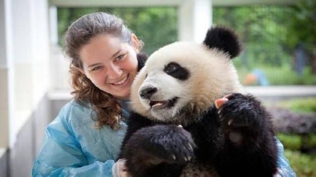 外国人真的喜欢大熊猫?答案真的和你所想是一