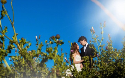 杨洋与苏可结婚照片,吓到不少粉丝们