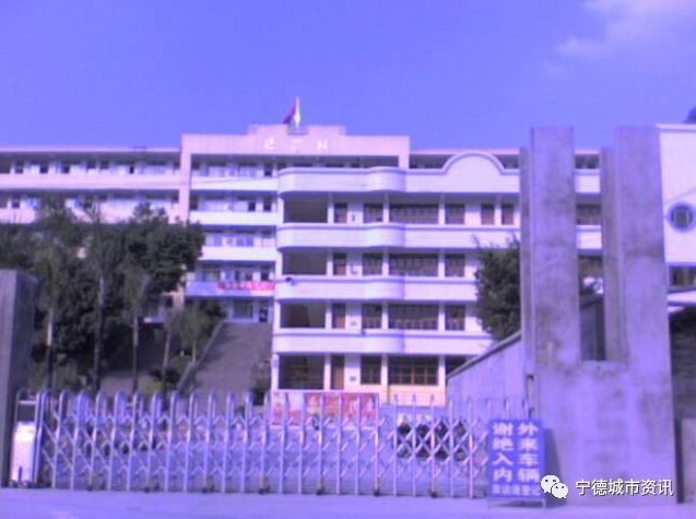 教师丨宁德中小学专业技术职务实行任期制任期