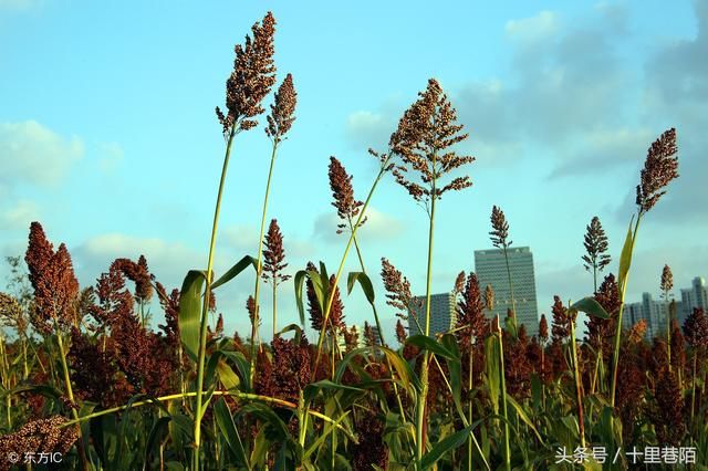 《人性的弱点》详细总结(句句值得领悟)