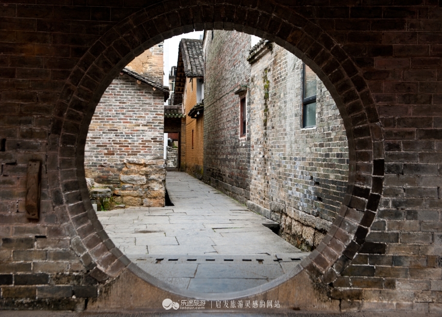 千年风雨屹立而活,它把长寿拥在怀里