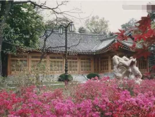 这个国家总说中国人没素质,可中国游客还厚着