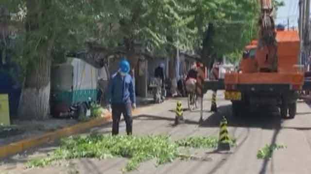 《生活这一刻》20200503惊险!大树倾倒引发火情 《生活这一刻》20200503惊险!大树倾倒引发火情