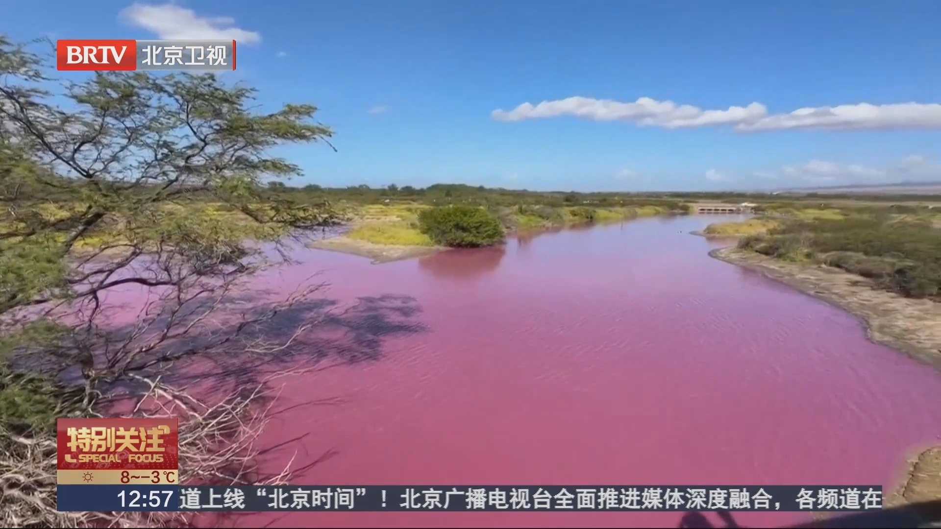 嗜盐菌激增 夏威夷毛伊岛一池塘变粉红色