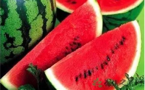 抽烟对血糖的影响