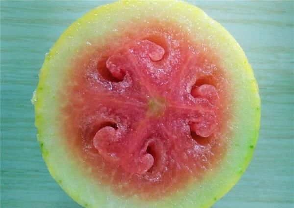 与上述三种颜色的西瓜并称为"四色瓤西瓜".