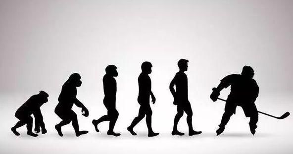 人类成为地球主宰,是基因比其它生物进化的先进?