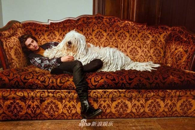 笑起来过分好看!甜茶最新杂志写真复古撩人