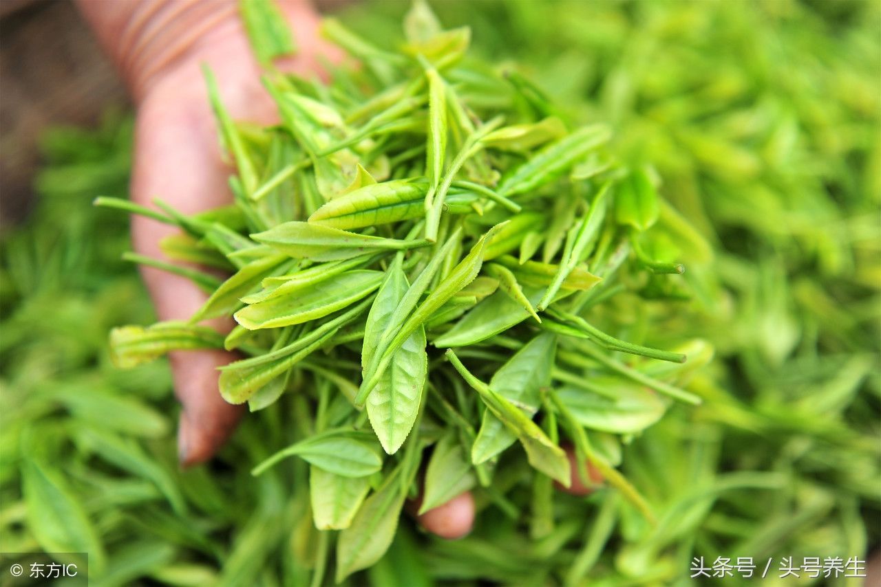 常吃这些食物,轻松帮你刮肠油排宿便
