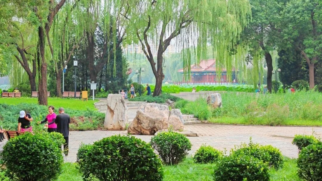 别白跑了,顺义这个公园还没开放! 别白跑了,顺义这个公园还没开放!