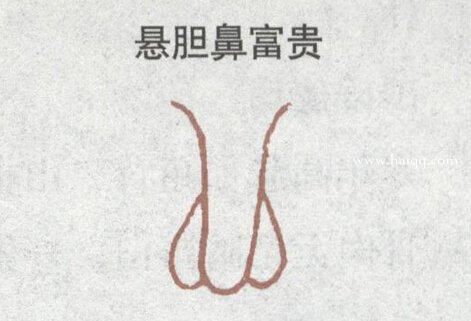 日常生活中有鹿鼻面相的人心性善良,有很好的人缘运
