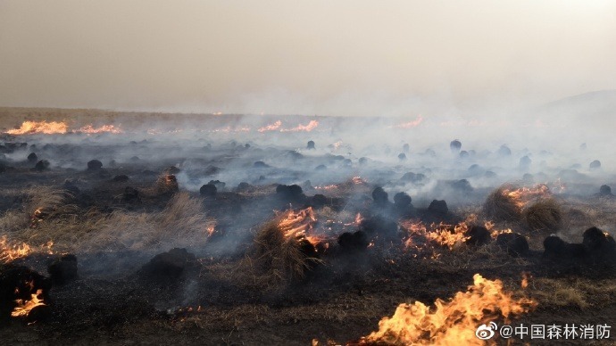 内蒙古呼伦贝尔地区俄罗斯草原火灾再次入境,蒙古国境内火灾正在向
