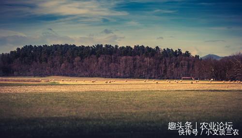 政府同意用招拍挂方式出让土地,要如何缴纳契