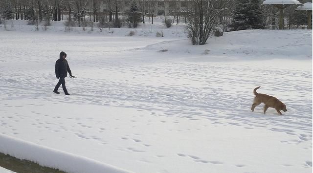 空调正在运行中,突然停止工作,你知道这是什么