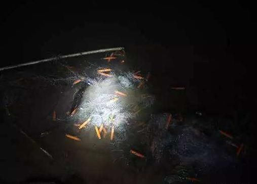 男子走夜路听见婴儿哭声,环顾四周却空无一人