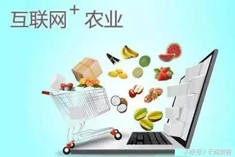 新农人须知道的未来农业发展趋势