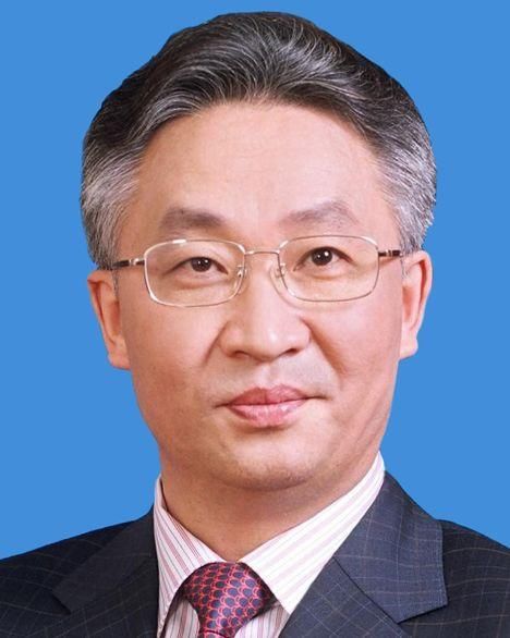 重庆市长张国清任天津市委副书记 吉林省长刘