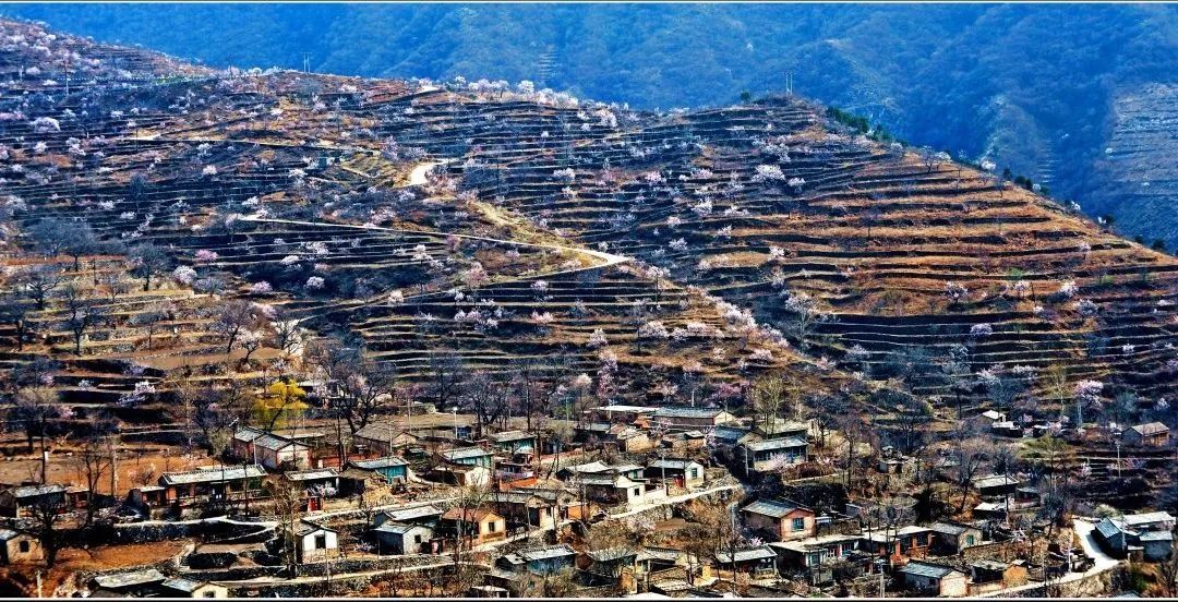 "2022年北京市森林康养旅游示范基地"之房山 蒲洼乡