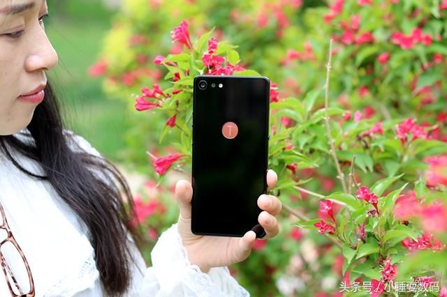 换心不换脸,坚果Pro2特别版延续经典,为用户