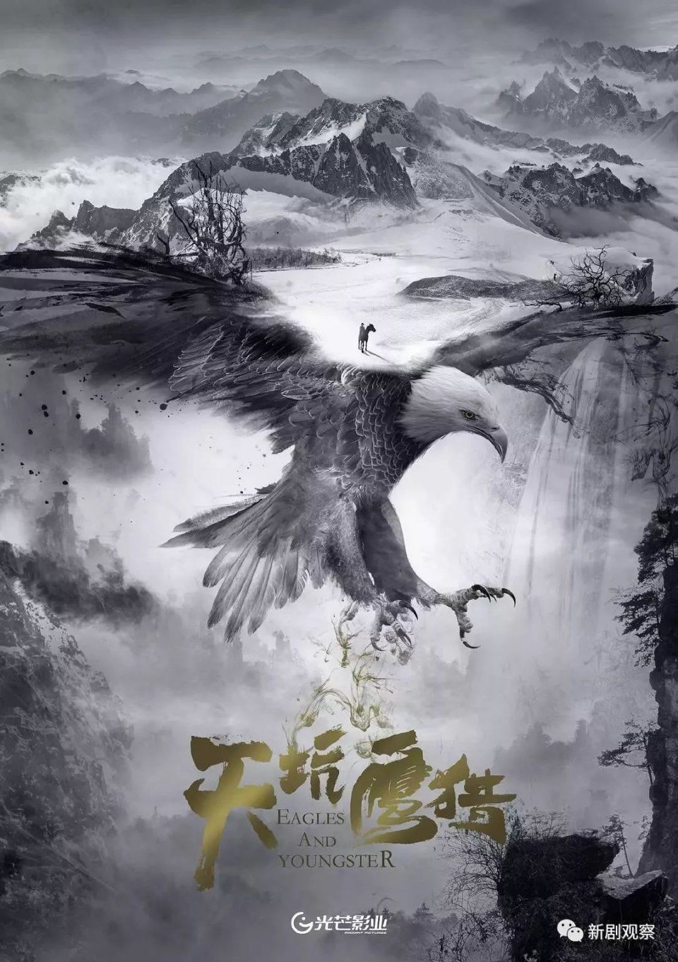 天意精、华夏稳、嘉行猛、华视新、华录经验足