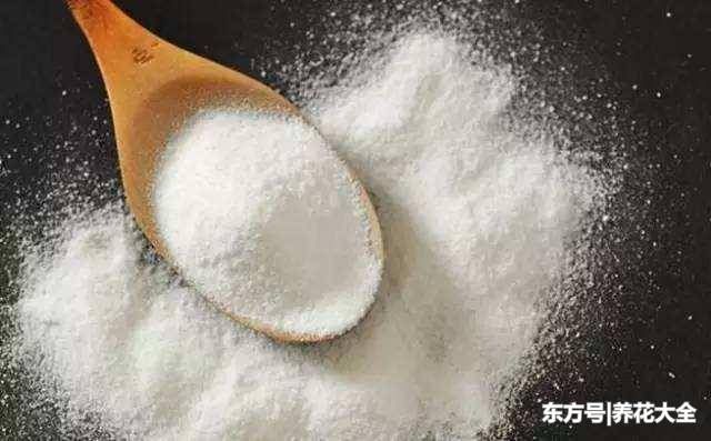 小白鞋发黄急死人,教你两招,轻松又好使,刷完跟