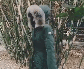 赵丽颖张慧雯斗舞真相是什么?终于真相了,原来是这样!(图1) 赵丽颖张慧雯斗舞真相是什么?终于真相了,原来是这样!(图1)